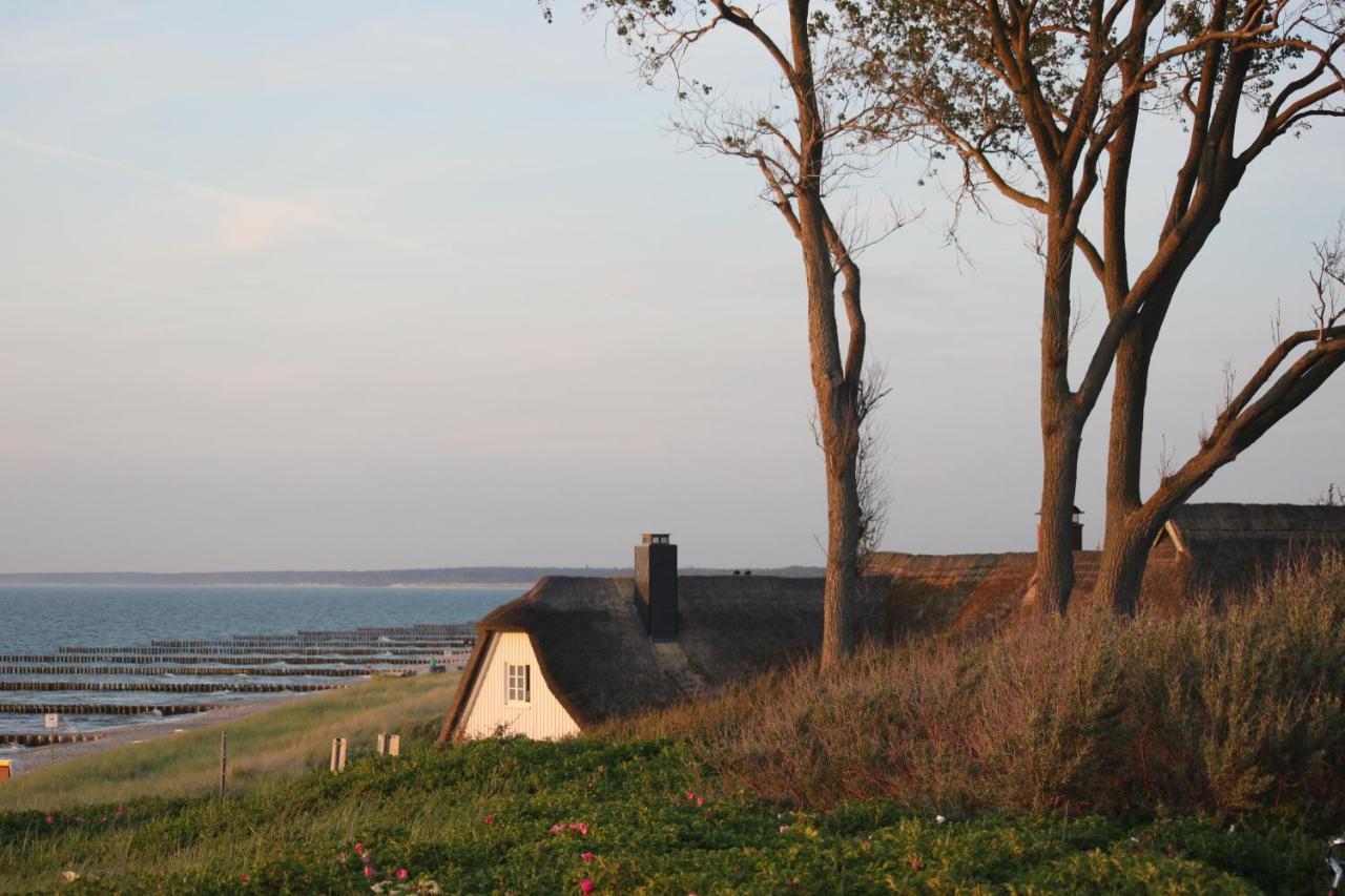 Dat Dardel Hus Born Zewnętrze zdjęcie